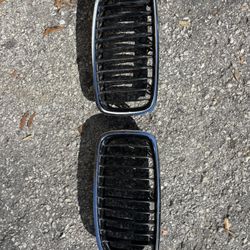 13-18 BMW 320i Series 3 Chrome Passenger and Driver front grille