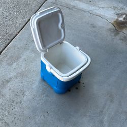 Igloo Ice Cube Cooler