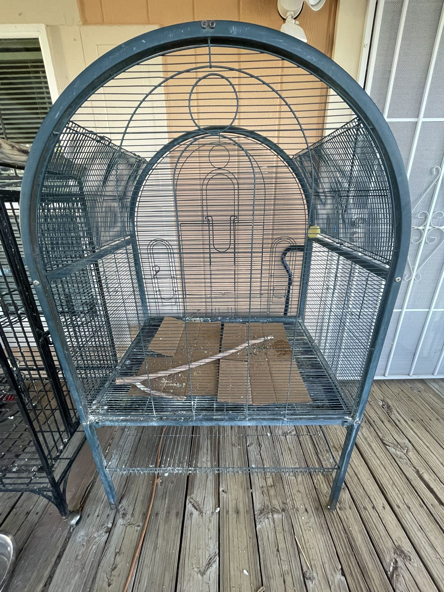 Bird Cage