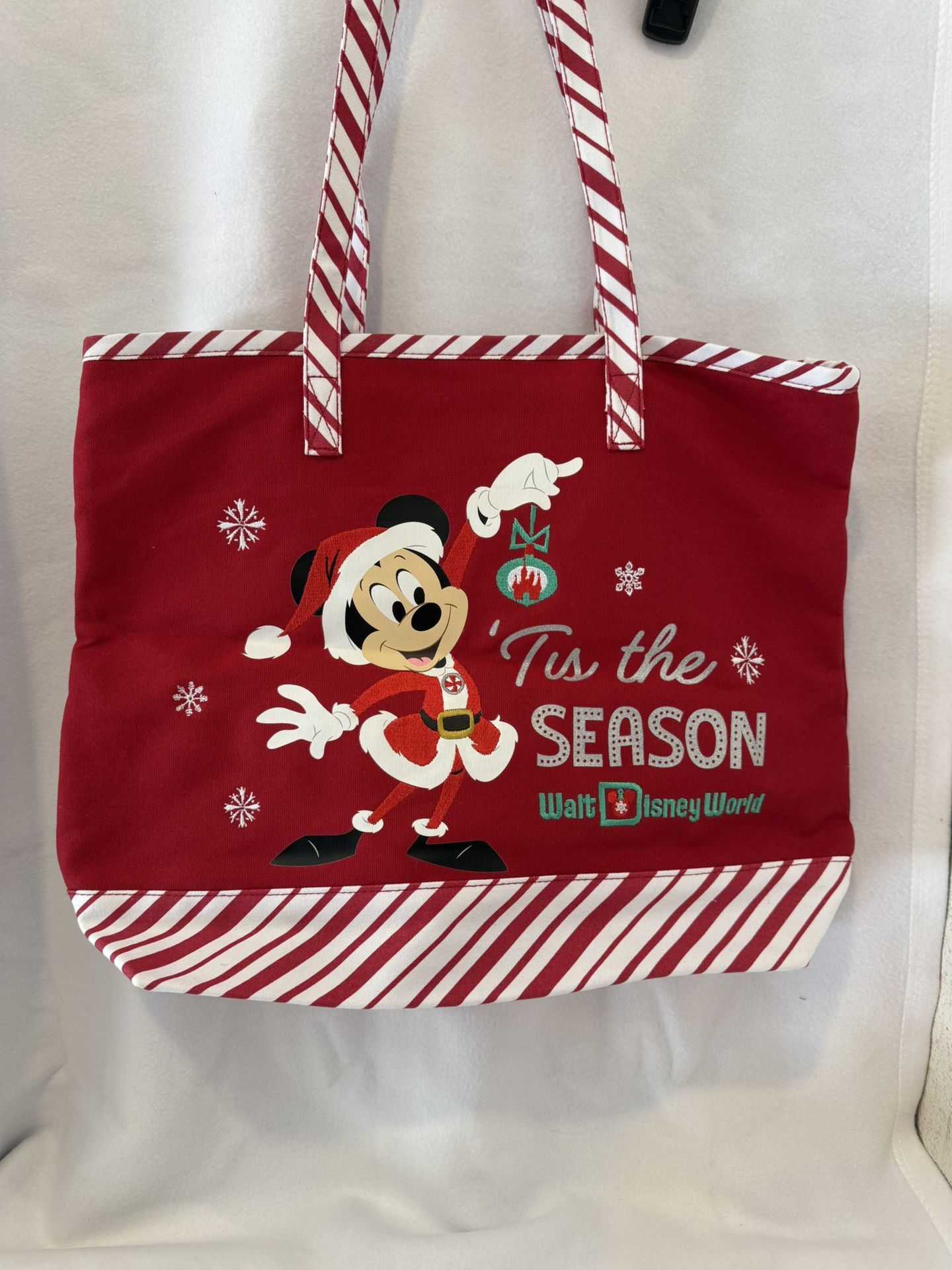 Disney Bag Never Used