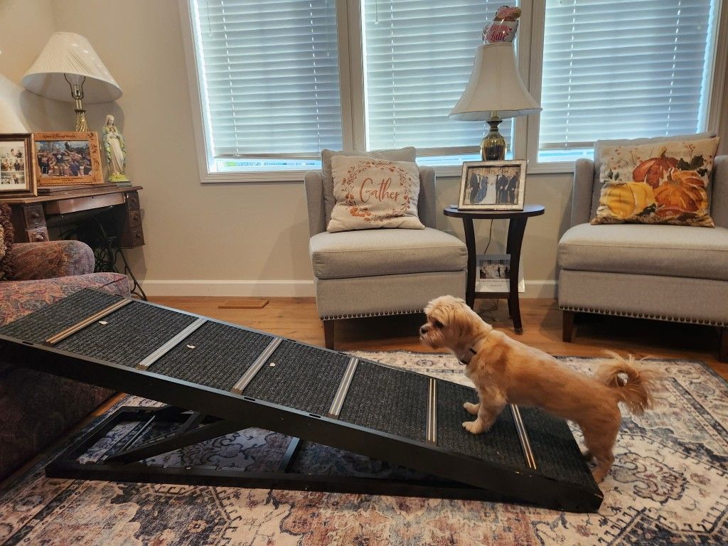Pet Ramp Folding Portable