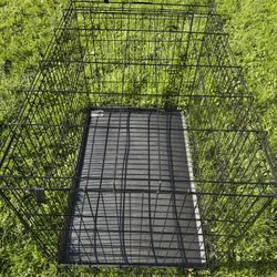 Animal Cage