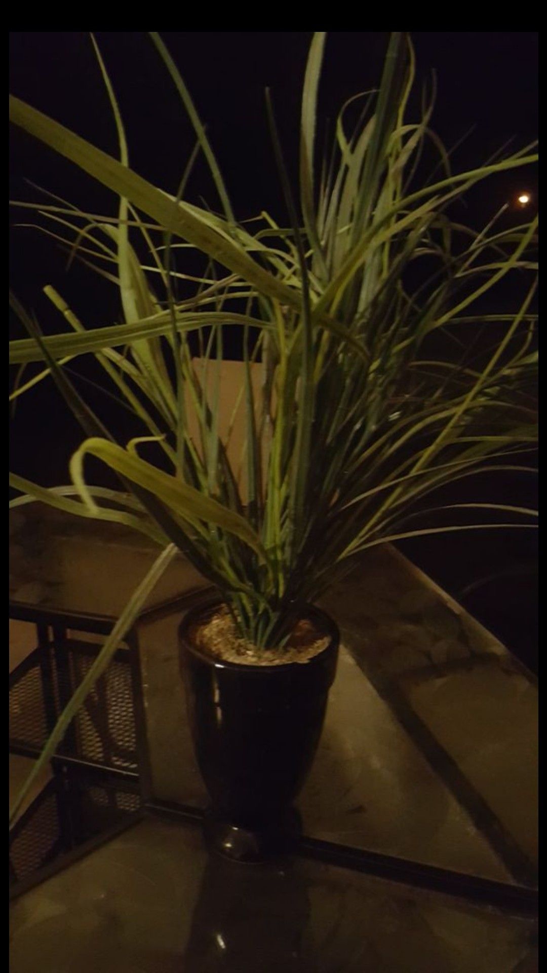 Fake plant in glass bowl