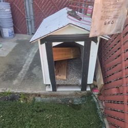 Dog House