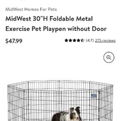 Dog Fence
