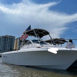 Proline 221 Walk Around 