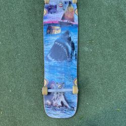 Riviera Skateboard Gullwing Trucks Spitfire Wheels