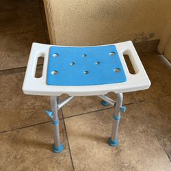 Bathroom Handicap Seat