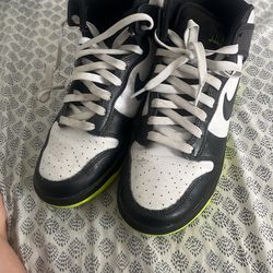 Electrice Nike Dunks. 