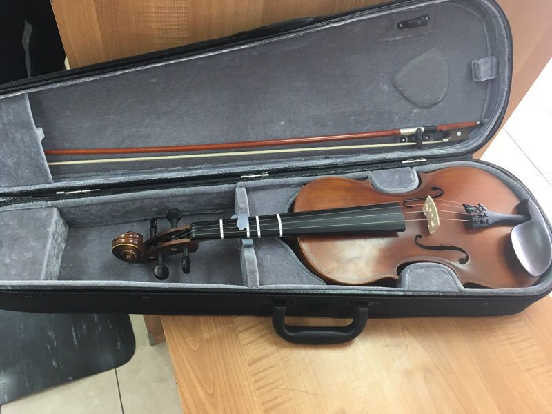 Schill Violin 🎻