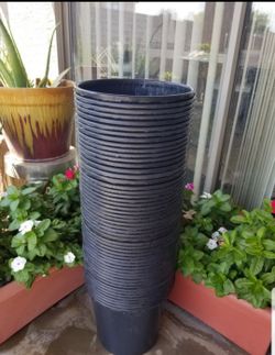 Buckets / Planters 2.5 gallon