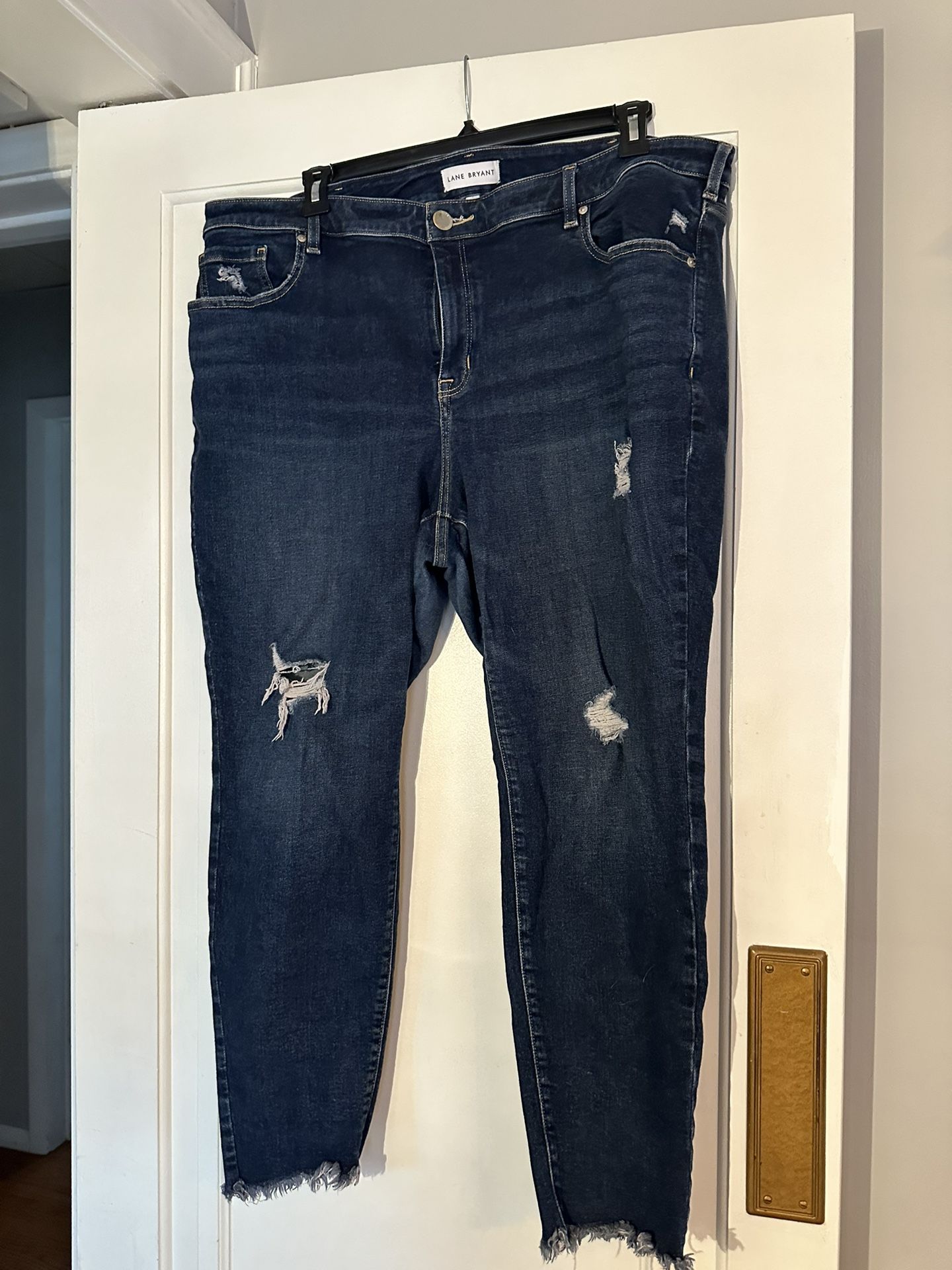 Lane Bryant Jean size 24