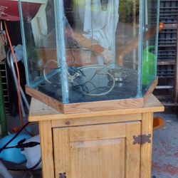 35 Gallon Hexagon Aquarium 