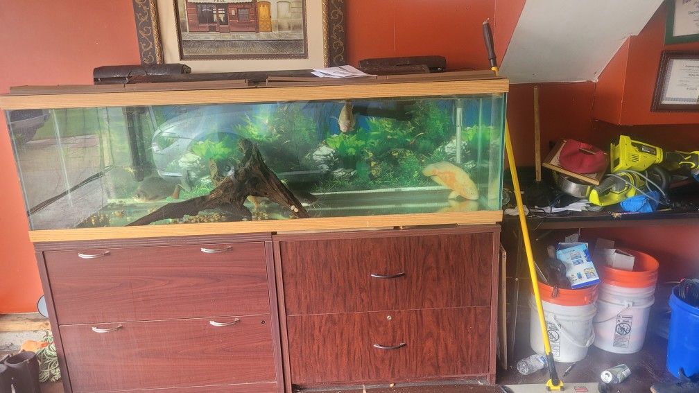 Fish tank for sale. No Stand Everything else come with it, Light pumps thanks a hundred and twenty five gallon fish tank