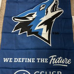 CSUSB Banner