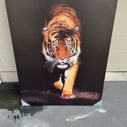 Tiger Picture Frame 