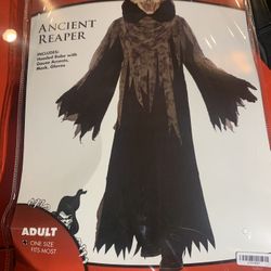 Halloween Costume Brand New 