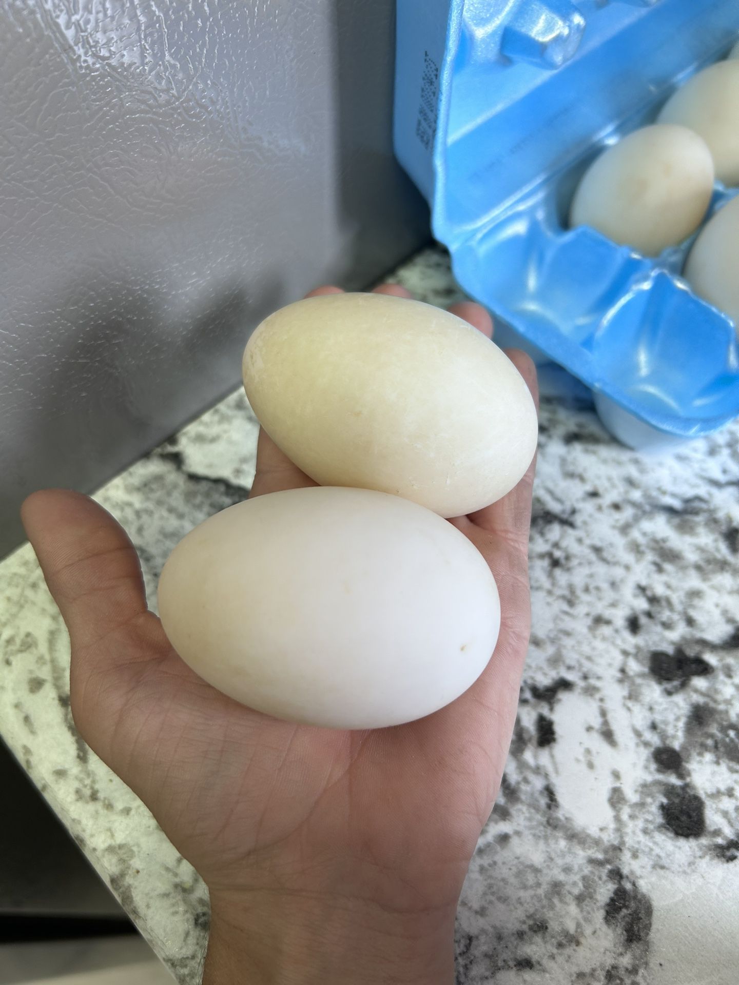 Fresh Farm Eggs 