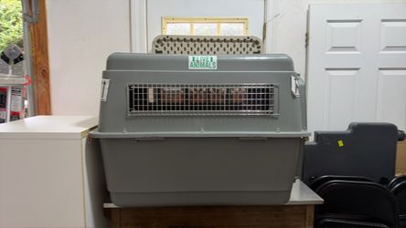 Large Hard-Shell Pet Travel Crate