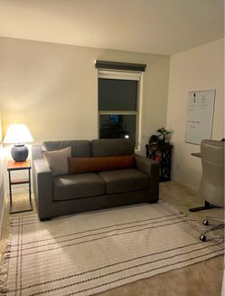 Sleeper Sofa