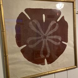 Vintage Sand Dollar Wall Art