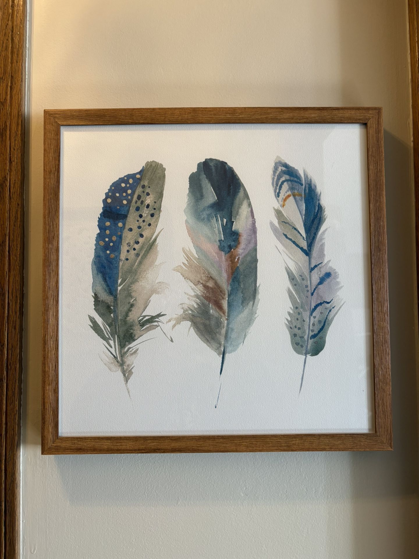 Feather Picture