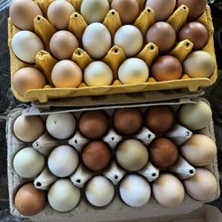 Fresh Eggs! Laid By Happy Chickens! Farm Eggs Are Healthy!