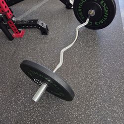 EZ Curl Bar  w/ 2× 25lbS Plates  READ BELOW.  FIRM PRICE 