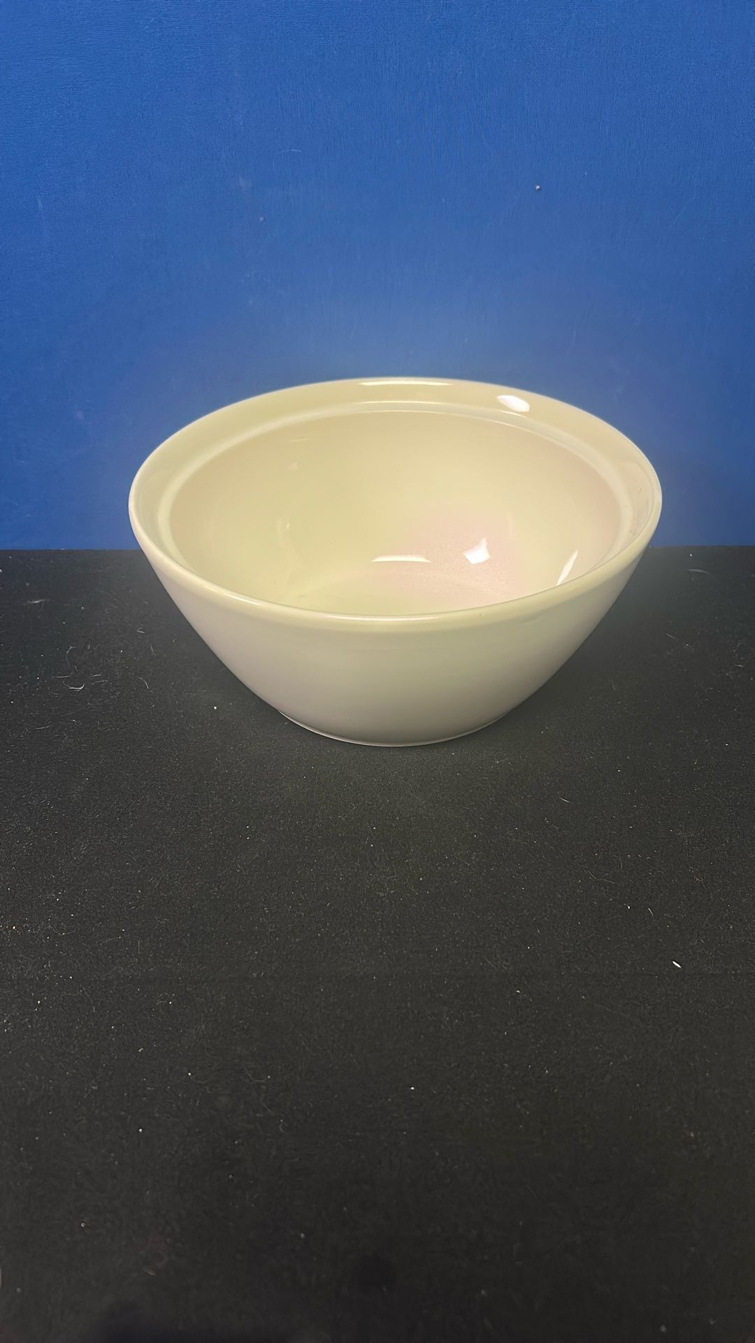 9in Plain White Porcelain Bowl 