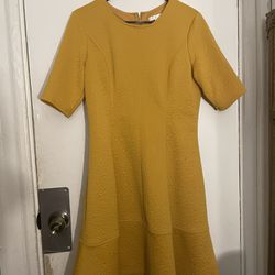 Golden Yellow Fit And Flare Dress 