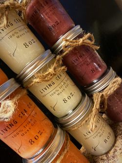Living Sea Co. Sea Moss