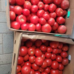 Organic Produce 