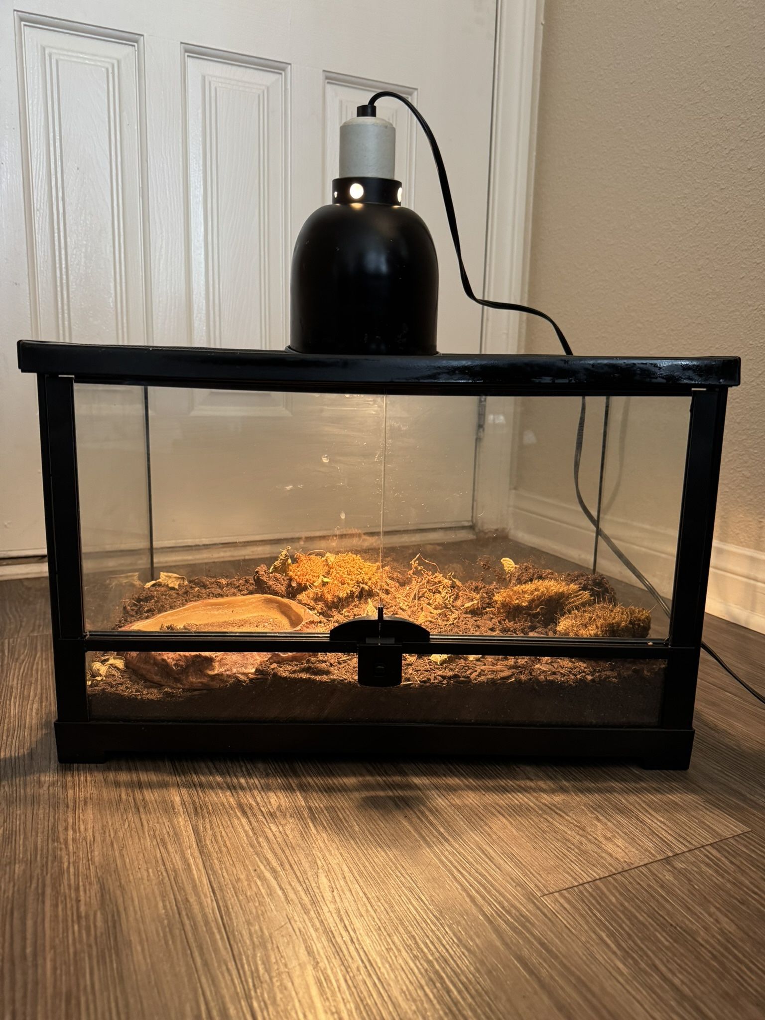 Glass Reptile Terrarium with Front Opening Door and Mesh Top