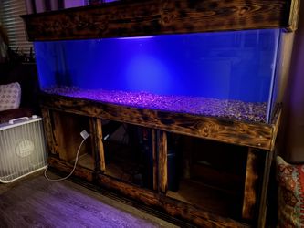 150 Gallon Aquarium, with Custom Built Stand And 5gallon Fluval canister Filtration System