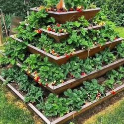 Custom Beautiful privacy wall Tomato Tower Planter Box Garden Bed Decor Outdoor Design cedar redwood