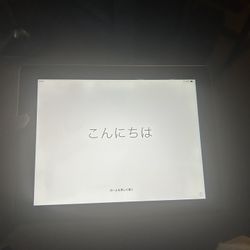Unlocked iPad