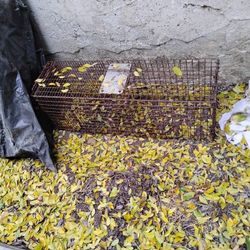 Cage Trap 15.00