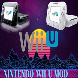 Wii U MOD SERVICES