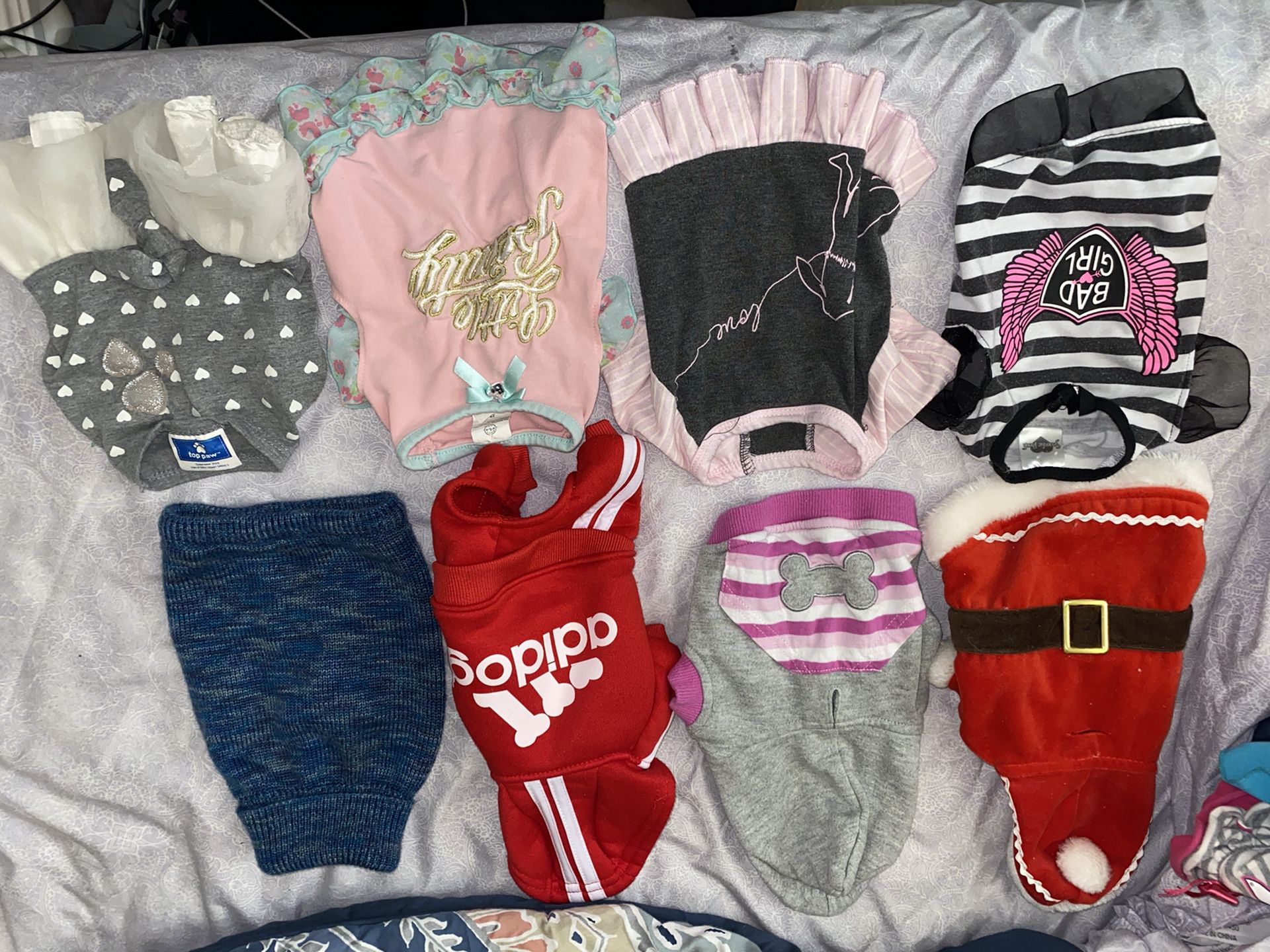Puppy dog clothes lot xs, s