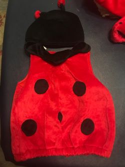 2T lady bug costume