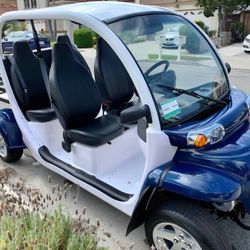 2014 GEM E4 Golf Cart 