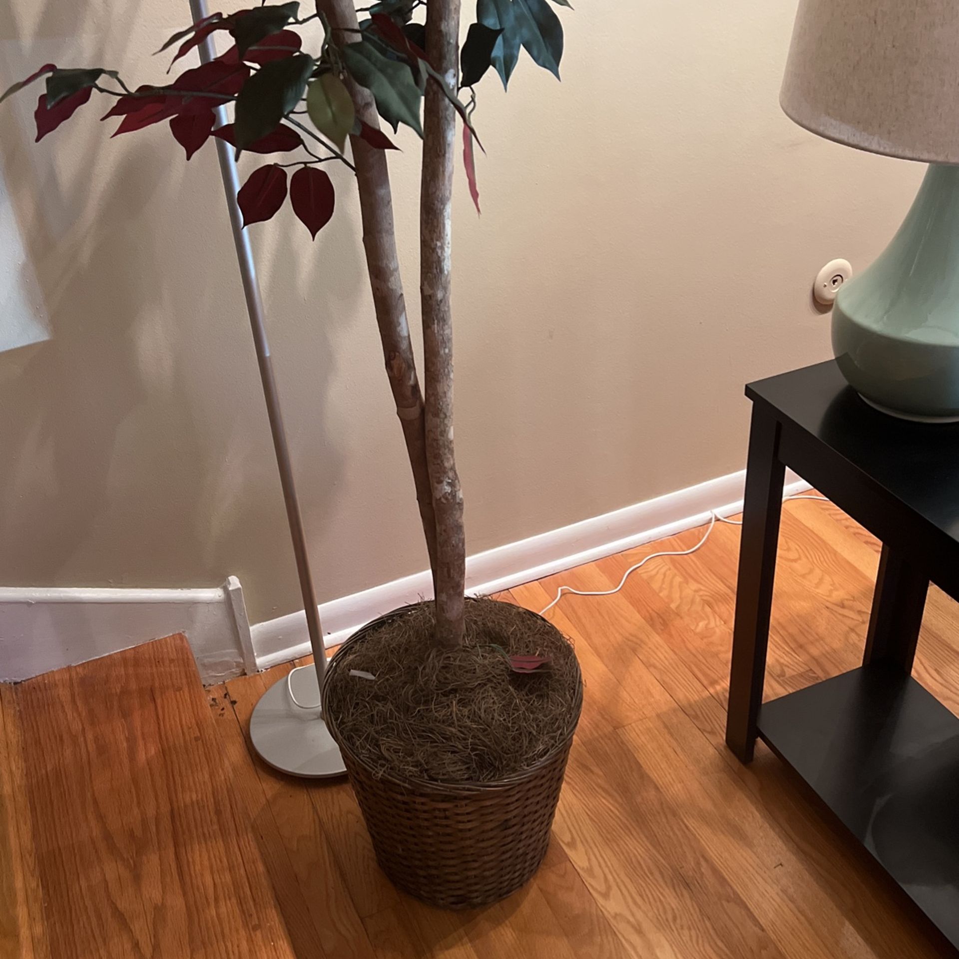 76” Tall Silk Plant for Sale in Glenview, IL OfferUp