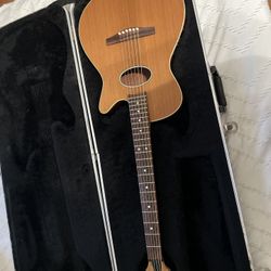 Peavey Electric Guitar