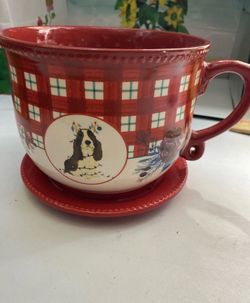 Big pioneer woman teacup planter