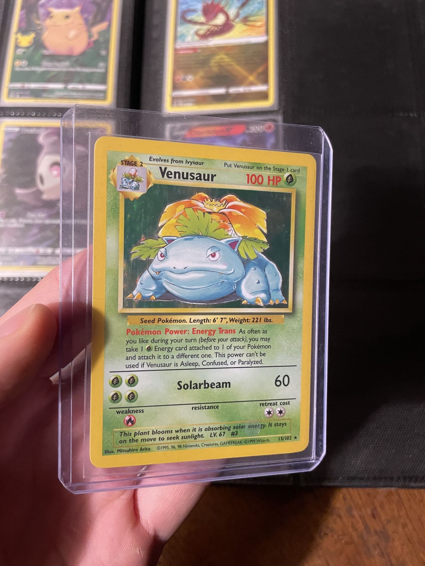 Base Set Holo Venasuar