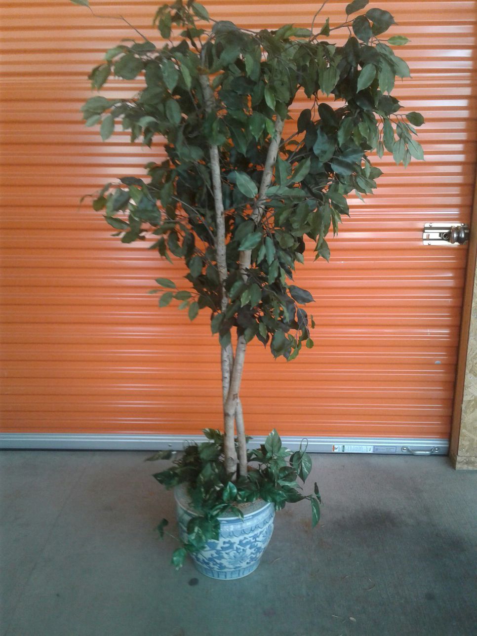 Home/Office Imitation Tree/Plant