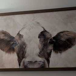 Cow Picture