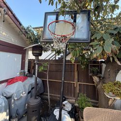 Basketball Hoop