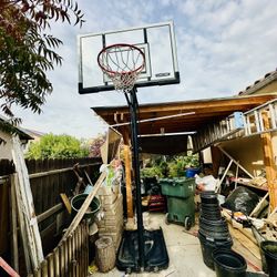 Basketball Court