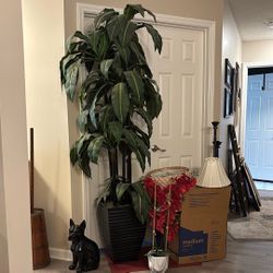 7’ Fake Plant Beautiful Cane Must Go